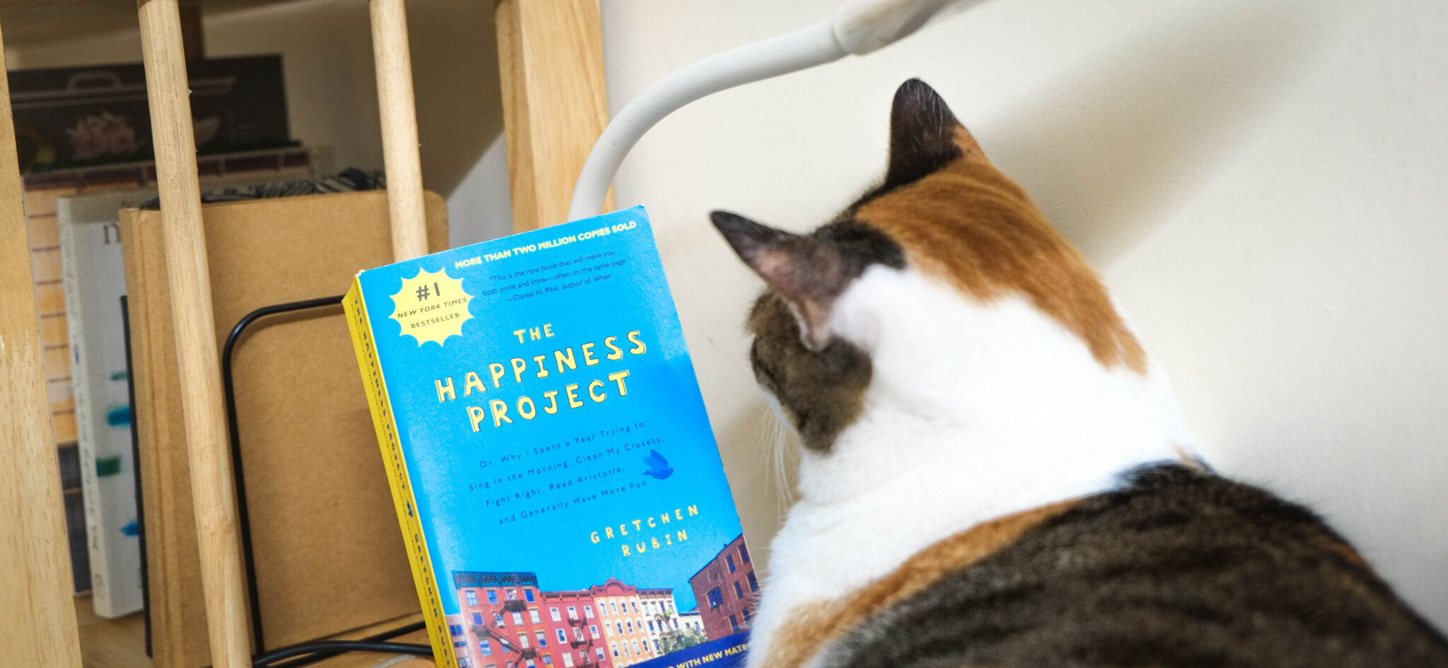 the happiness project and my cat